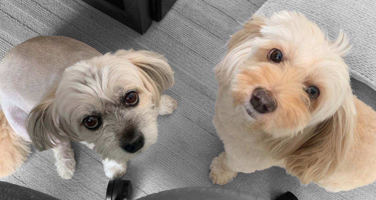 Laifu and Nini writing poetry for mummy